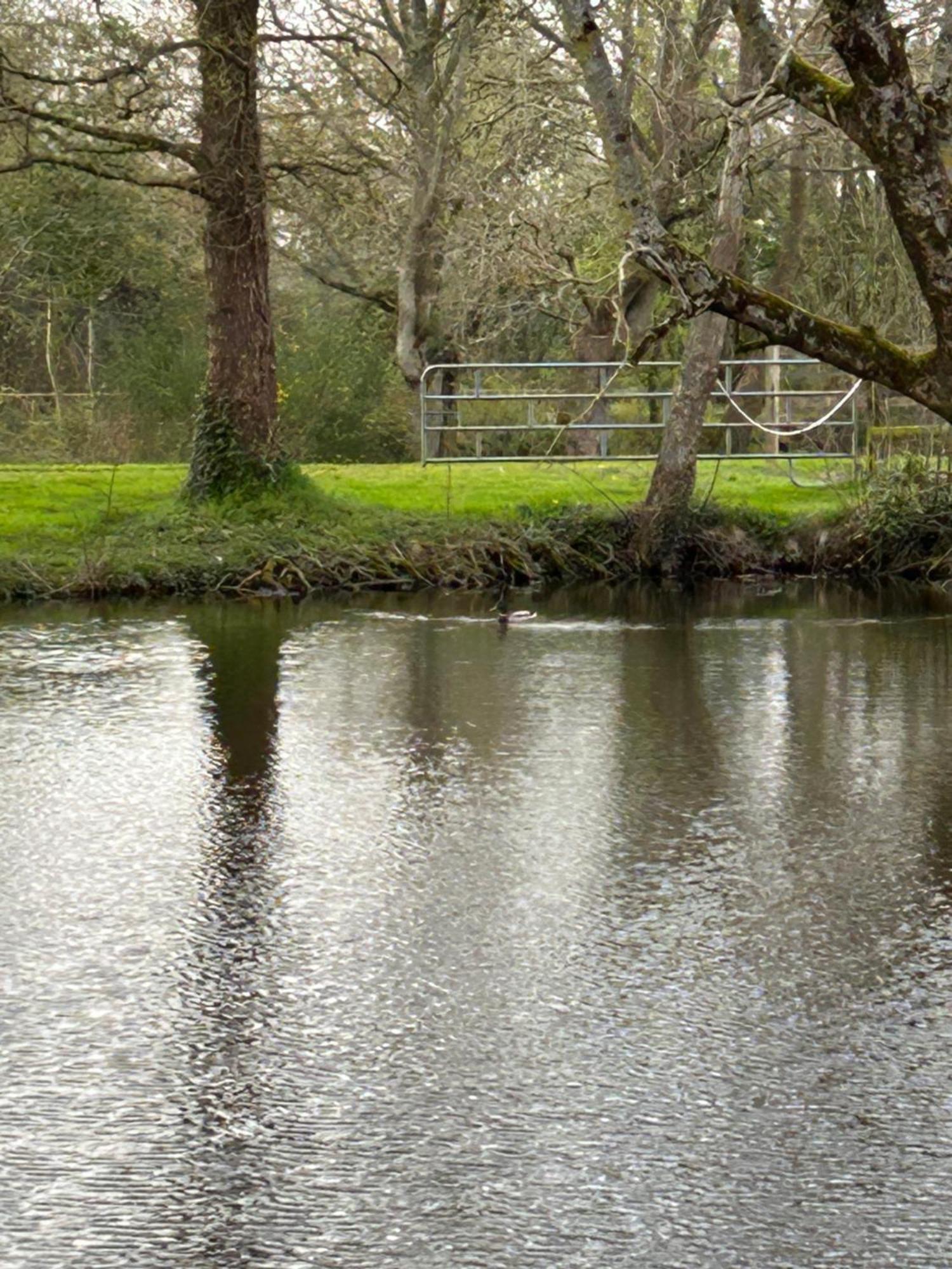 La Maison De L'Etang Manerbe Εξωτερικό φωτογραφία