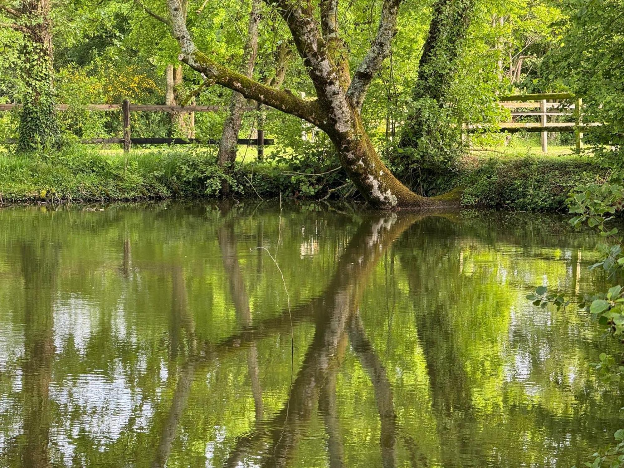 La Maison De L'Etang Manerbe Εξωτερικό φωτογραφία